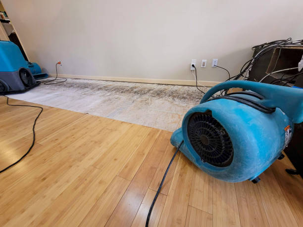 Professional Water Damage Repair technician working in Lenhartsville, PA